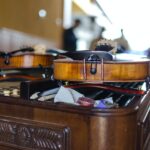 The Symphony Orchestra Experience: A Feast for the Senses