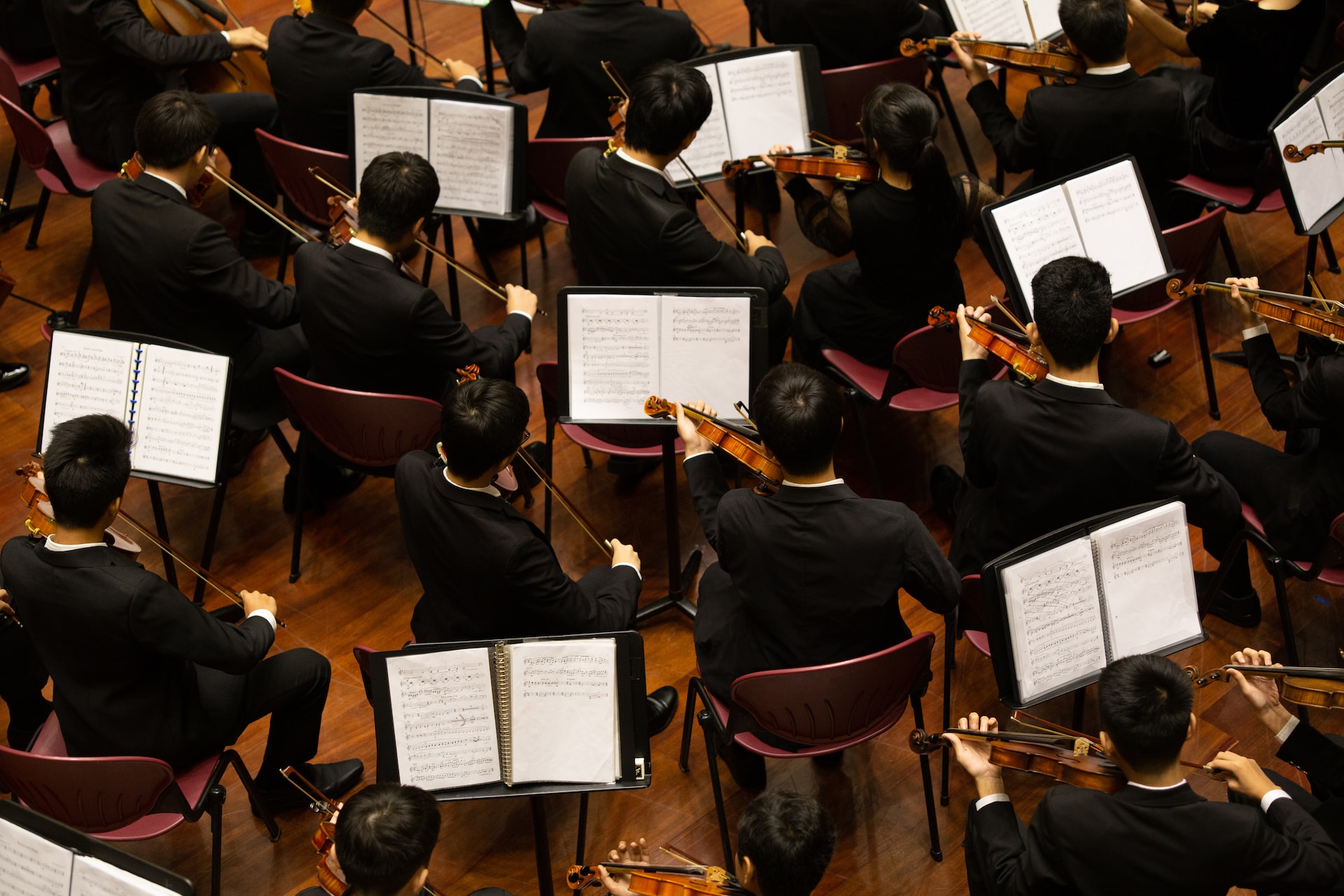 Exploring the History and Evolution of Orchestras